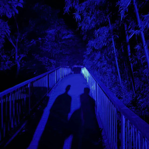 西西大胆444www高清
